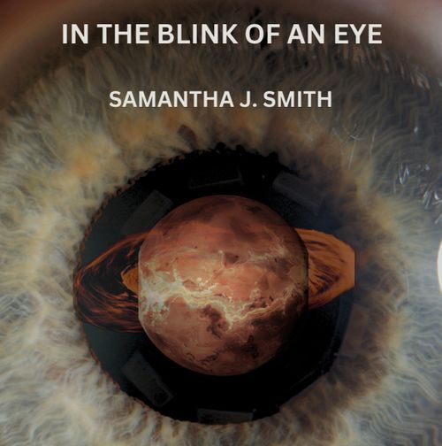 3rd W3dn35day Online Gig - Samantha J Smith - In the blink of an eye