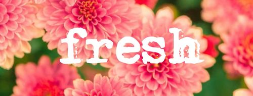 Fresh Friday on TIBtv