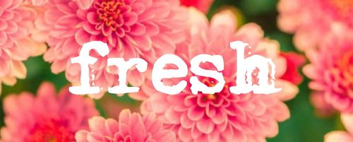 Fresh Friday on TIBtv